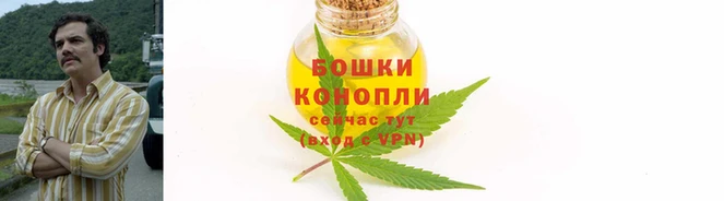 стаф Волоколамск