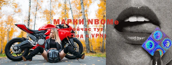 стаф Волоколамск
