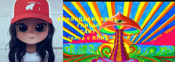 стаф Волоколамск